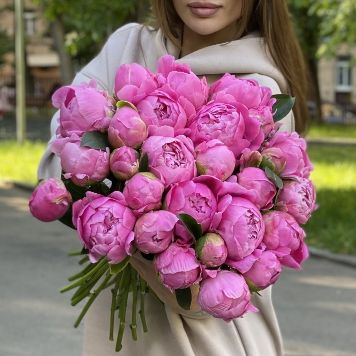 Пионы ярко-розовые Флеминг